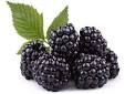 blackberries